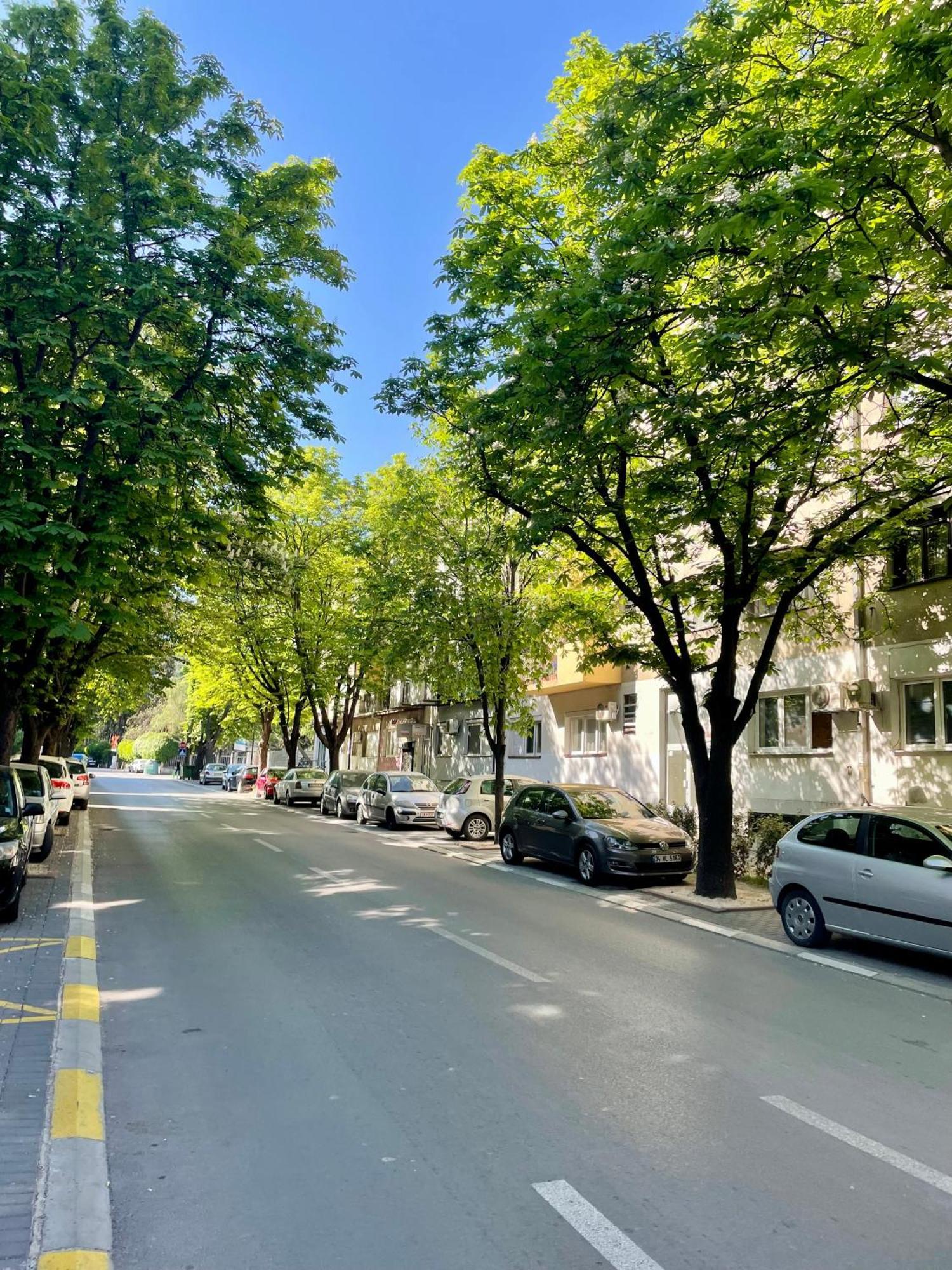 Luxury City Center Apartment Skopje Exterior foto